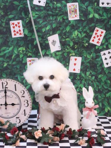 20250413姫葵ちゃん